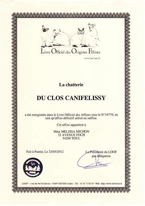 CaniFelissy